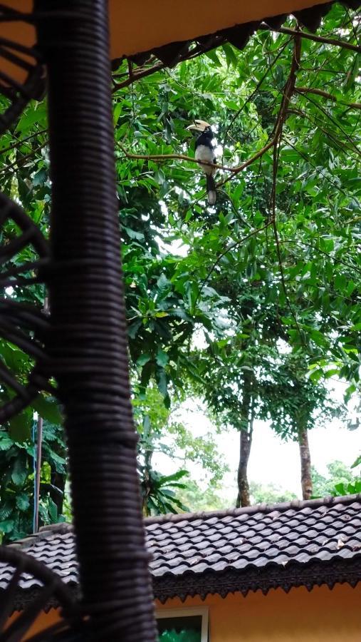 Samloem Laguna Resort Koh Rong Sanloem Zewnętrze zdjęcie